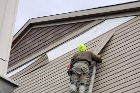 Best Custom Siding Design  in Amador Pines, CA